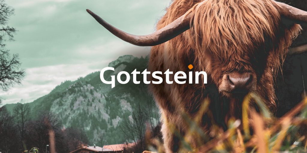 gottstein_teaser