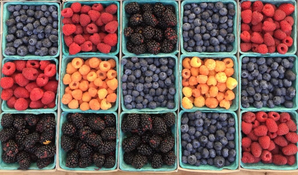 Eine Draufsicht auf zwölf quadratische Behälter, gefüllt mit frischen Beeren, darunter Heidelbeeren, Brombeeren, rote und goldene Himbeeren, angeordnet in einem bunten Gittermuster - präsentiert auf eine natürlich inspirierte Art.