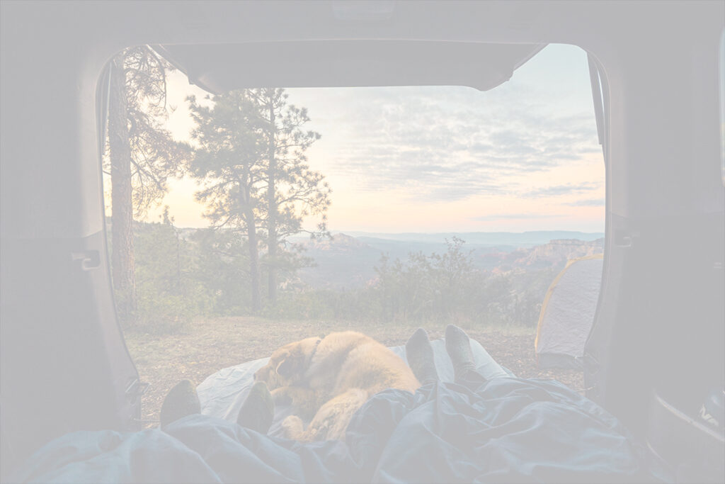 Der Blick aus dem Inneren eines Fahrzeugs zeigt zwei Personen in Schlafsäcken und einen Hund, der in der Nähe ruht und das Campingleben genießt. Draußen, in der malerischen Landschaft bei Marken oder München, sieht man Bäume, Berge und ein Zelt bei Sonnenaufgang oder Sonnenuntergang.