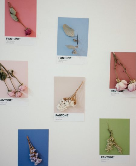 Sieben Pantone-Farbkarten, jede mit einem anderen Pastellfarbton, sind an einer Wand angeordnet. Auf jeder Karte ist eine von der Ai inspirierte getrocknete Blume abgebildet, die mit ihrer Hintergrundfarbe harmoniert oder kontrastiert.