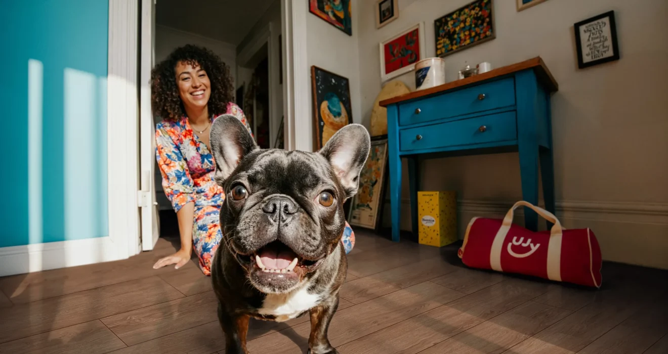 Eine glückliche Französische Bulldogge steht in einem Raum nahe der Kamera, hinter der eine lächelnde Frau in bunten Kleidern kniet. Der Raum ist farbenfroh dekoriert, mit einem blauen Schrank und Kunst an den Wänden.