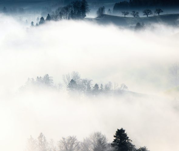 Eine neblige Landschaft mit Nebelschichten, die Hügel und silhouettierte Bäume bedecken und eine träumerische Atmosphäre hervorrufen - ähnlich wie bei einer effektiven Arbeitsgeber-Positionierung, bei der die Klarheit durch subtiles Licht sanft hervortritt.